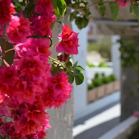 Apartament Marina's Milos Island
