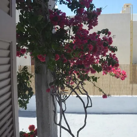 Marina's דירה